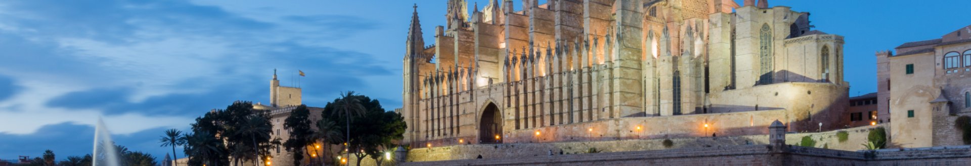 Palma catedral