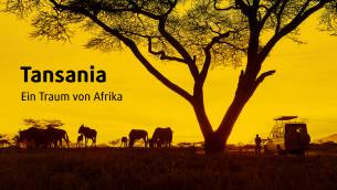 Tansania-trailer-thumbnail-gelb