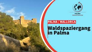 Wald Palma