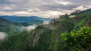 bwindi-impenetrable-national-park