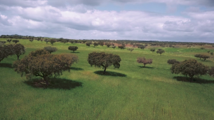 Alentejo Landschaft